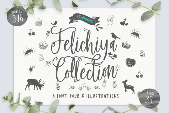 Felichiya Collection: A Versatile Font for Modern Designers